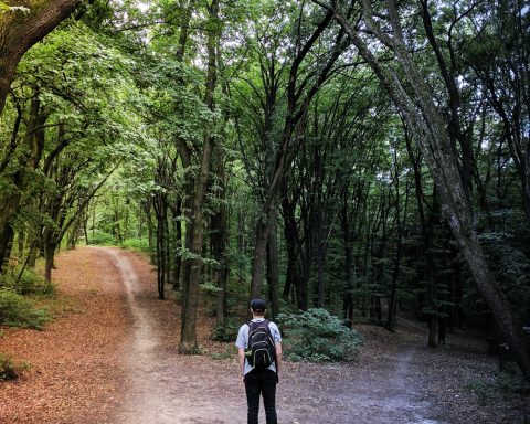Yıllık Öngörü Analizi